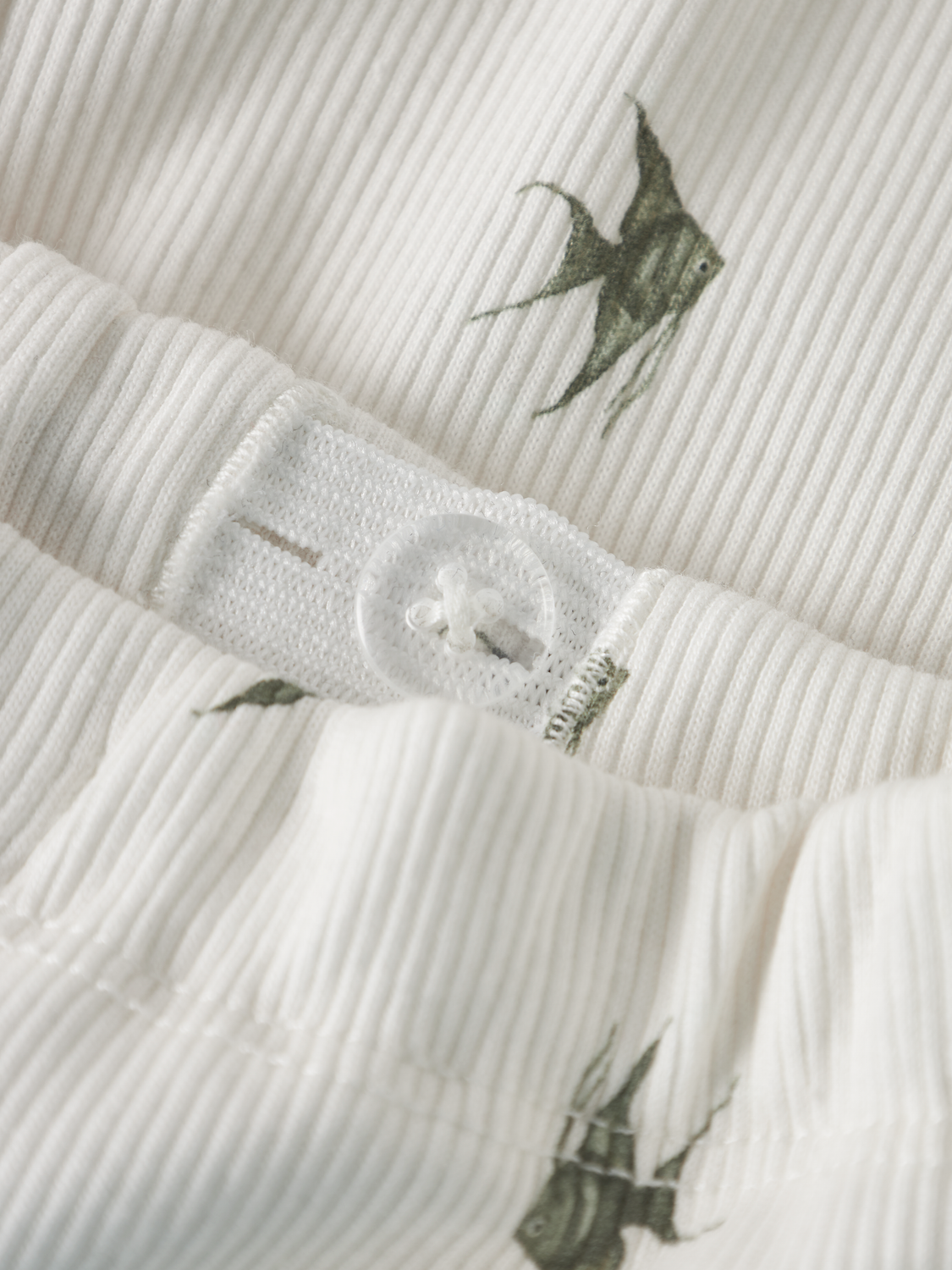 model_shot-front_full